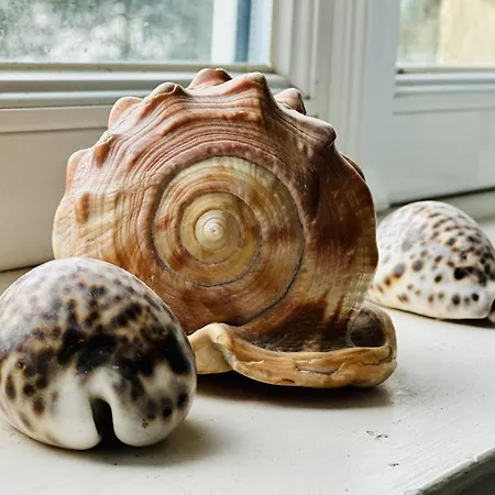 בית נופש Maison Familiale 4 Chambres, 11 Personnes *