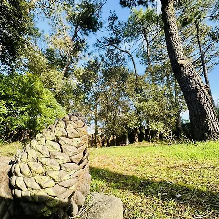 Maison Familiale 4 Chambres, 11 Personnes בית נופש Les Sables-dʼOlonne