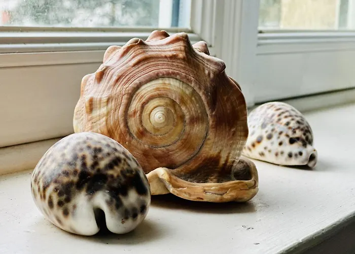 Holiday home Maison Familiale 4 Chambres, 11 Personnes *